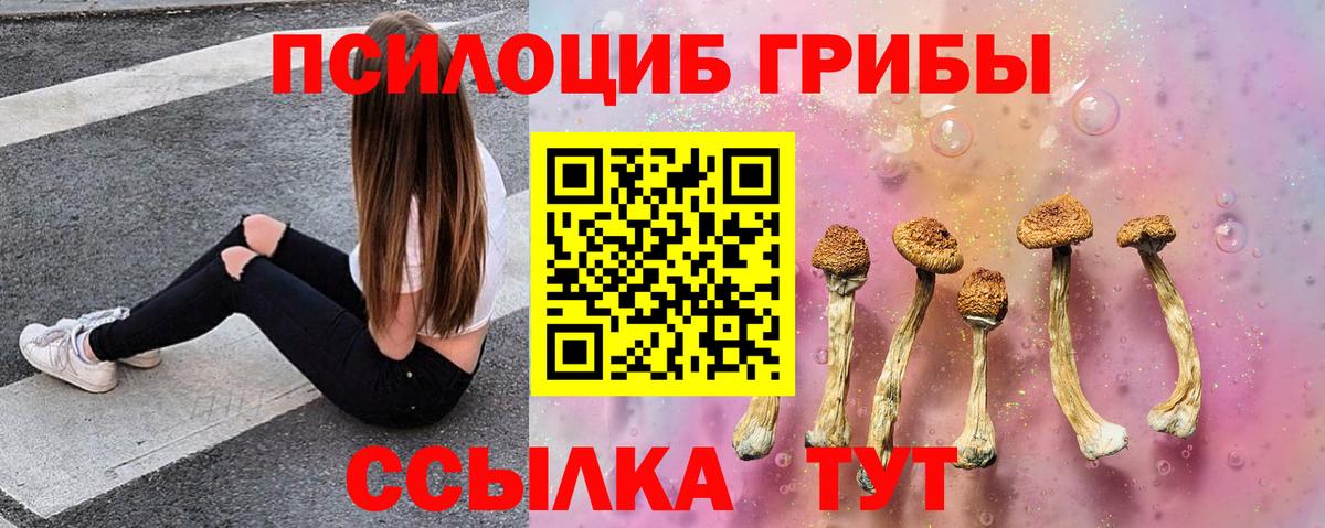 Псилоцибиновые грибы прущие грибы Тулун